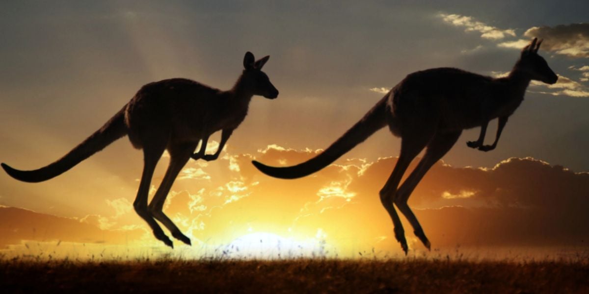 Universities in Australia